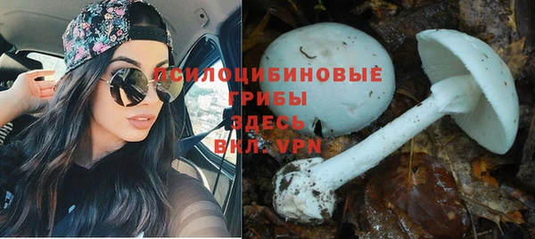 крисы Алексин