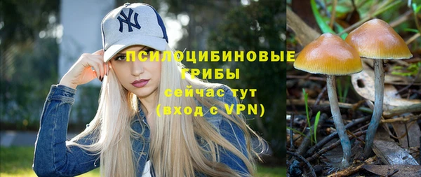 кокс Нягань