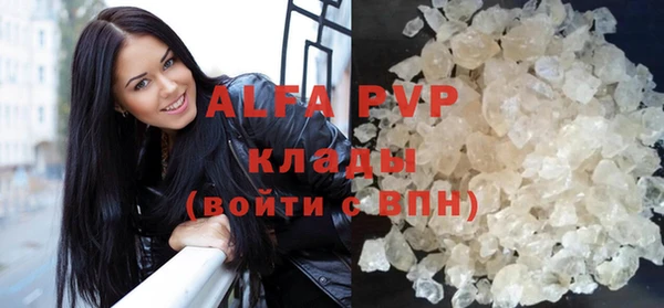 крисы Алексин